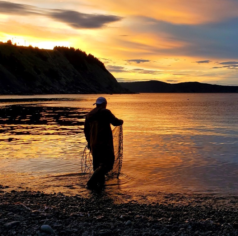 Middle Cove
